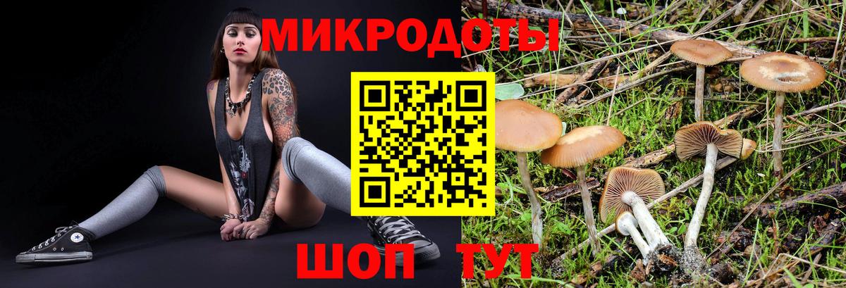 Галлюциногенные грибы Psilocybine cubensis  Вход с VPN  Ярцево 