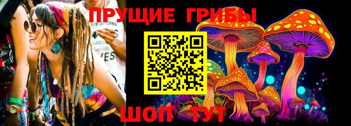 Псилоцибиновые грибы Psilocybe Ярцево